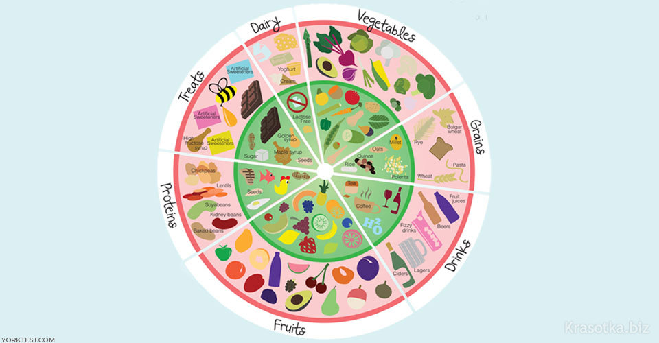 Food Map Диета Список Продуктов
