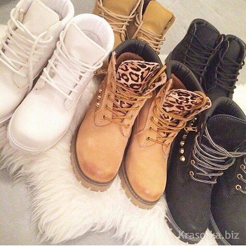   Timberland