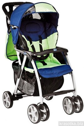 Simplicity Basis Stroller Chicco