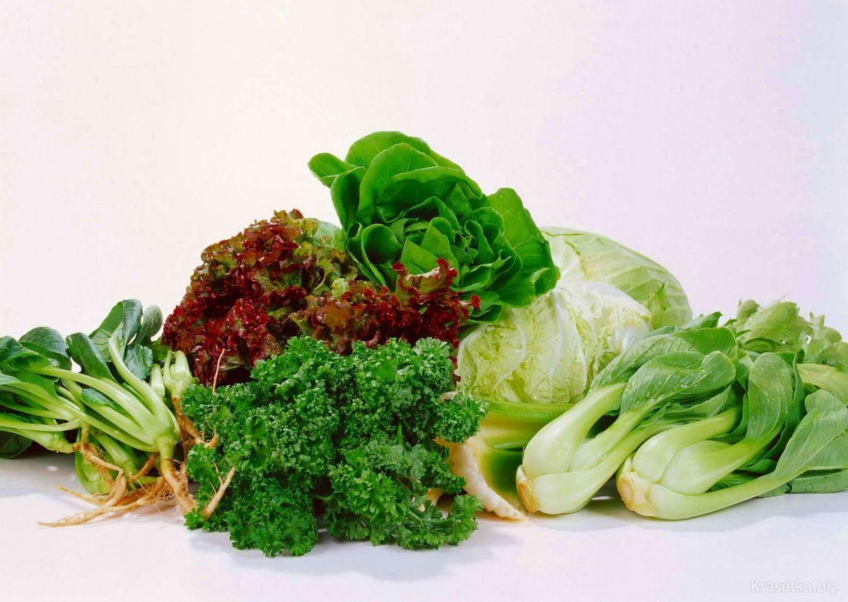 Полезные продукты. Зеленые листовые овощи