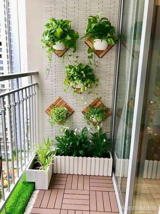 Озеленение балкона и лоджии